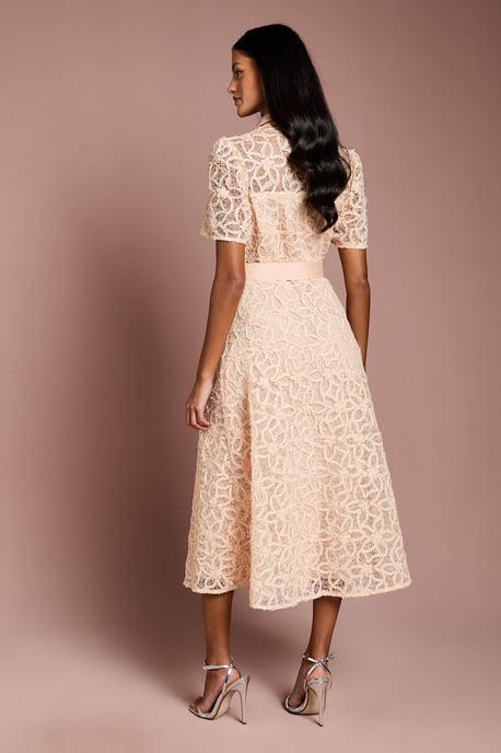 Petite Floral Lace Collared Midi Dress - Image 3