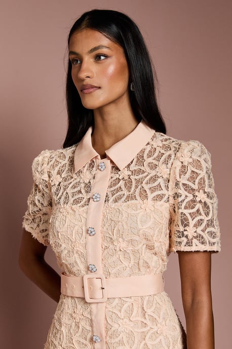Petite Floral Lace Collared Midi Dress - Image 4