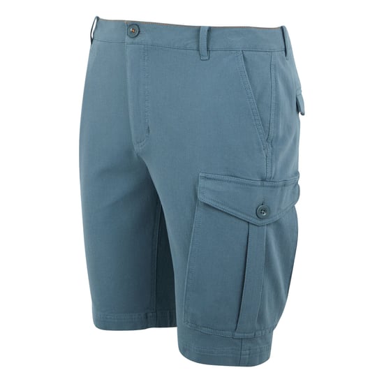 Regatta Heren Bendrick Korte Broek (Stormachtig weer) - Image 3