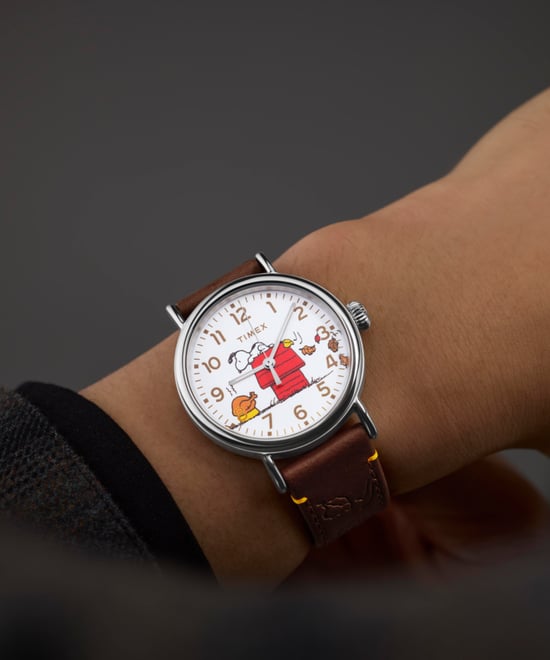 Timex Peanuts Waterbury Unisex Horloge Bruin TW2W44300 - Image 5