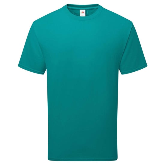 Fruit of the Loom Unisex Volwassen Pure Katoenen T-Shirt (Ocean Teal) - Image 1