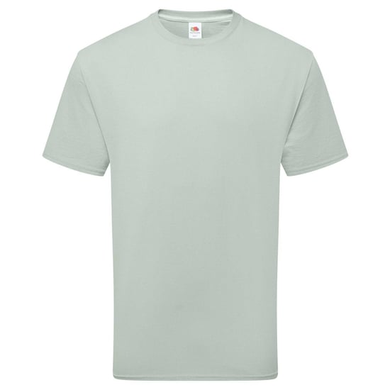 Fruit of the Loom Unisex Volwassenen 100% Katoenen T-shirt (Sage) - Image 1
