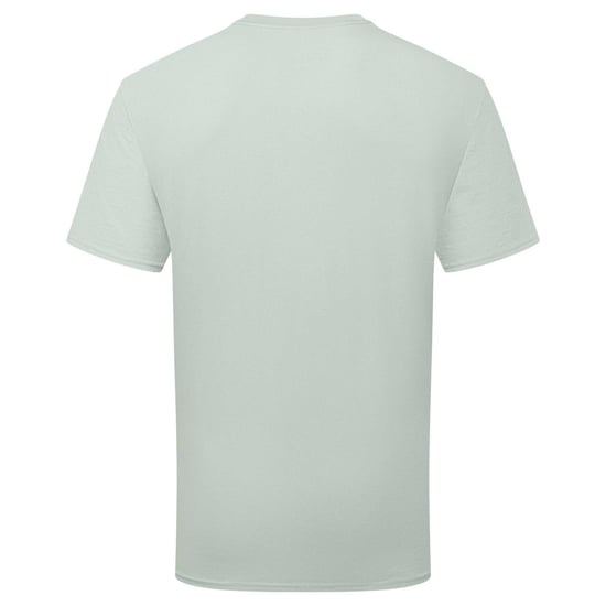 Fruit of the Loom Unisex Volwassenen 100% Katoenen T-shirt (Sage) - Image 2