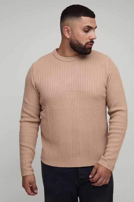 Plus Basic Regular Fit Ribbed Knitted Jumper - Image 1