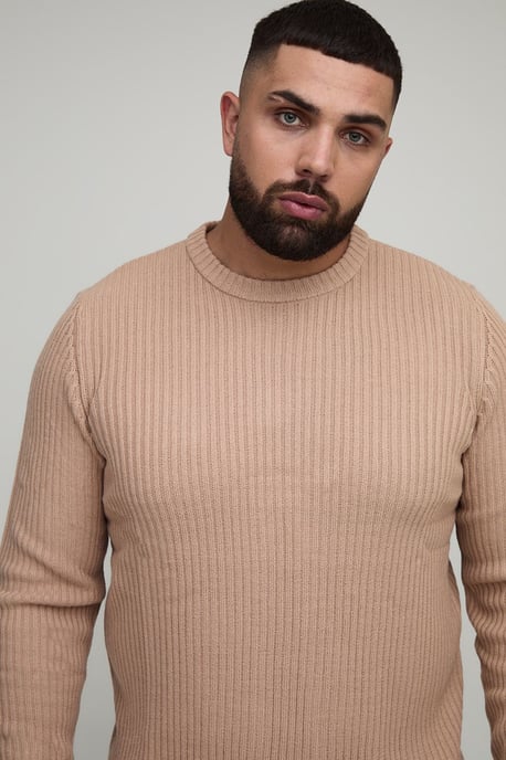 Plus Basic Regular Fit Ribbed Knitted Jumper - Image 3