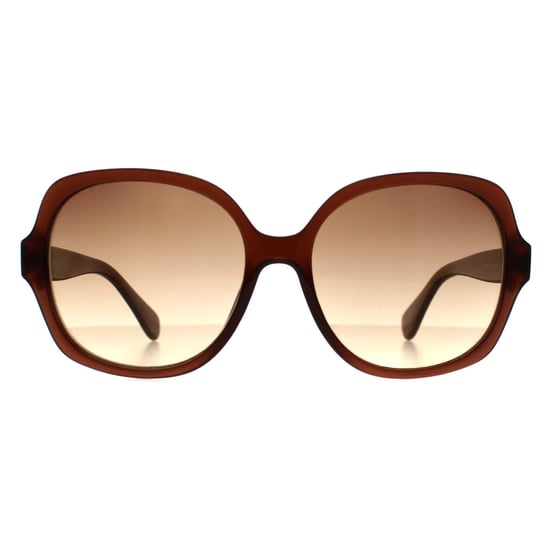 Calvin Klein Cat Eye Dames Kristal Bruin Gradiënt CK19538S - Image 1