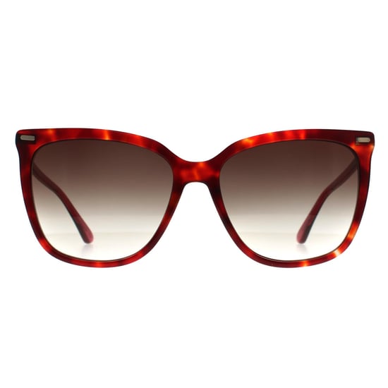 Calvin Klein Butterfly Dam Burgundy Havana Brun Gradient CK22532S - Image 1