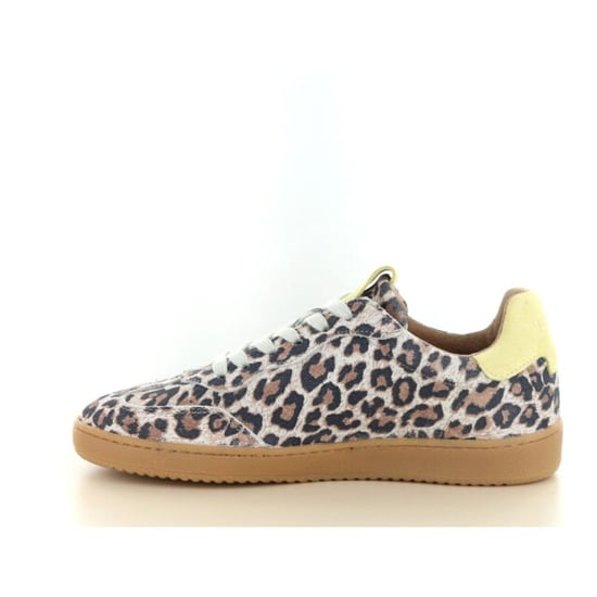 DWRS Label Poona leopard - Image 3