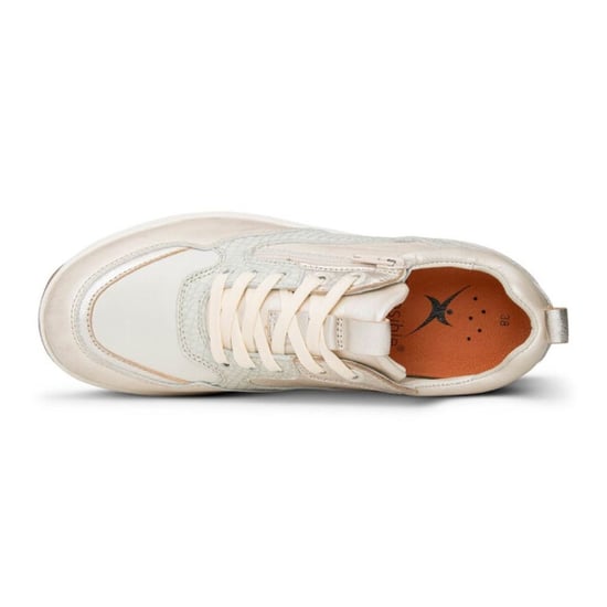 Xsensible Veterschoenen - Image 4