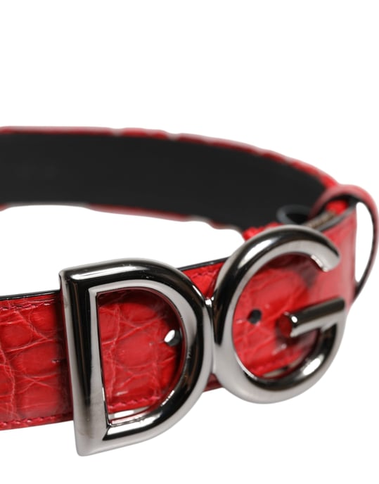 Dolce & Gabbana Red Viscose Silver DG Logo Metal Buckle Belt - Image 4