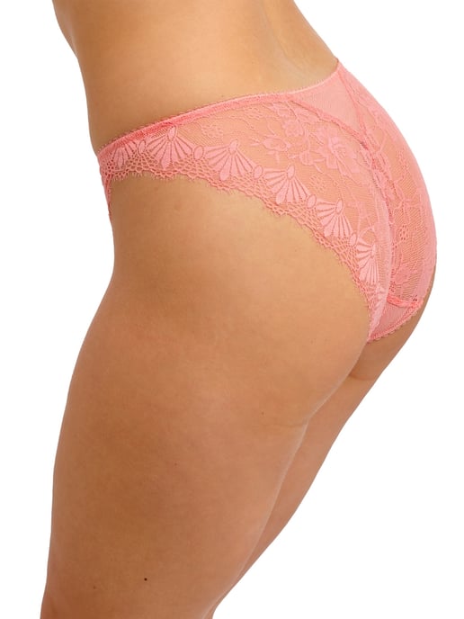 Fascinate Brief - Image 3