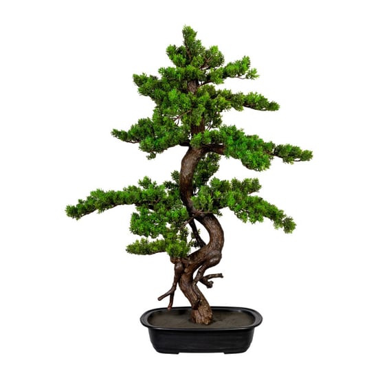 Kopu ® bonsai mirte ca. 85x55 cm- in een zwarte plastic pot - Image 1