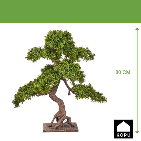 Kopu ® 7 stammen podocarpus macrophyllus bonsai 80 cm houten voet - Image 3
