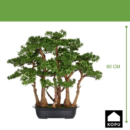 Kopu ® 7 stammen theeblad bonsai 60x60 cm in een zwarte plastic pot - Image 3