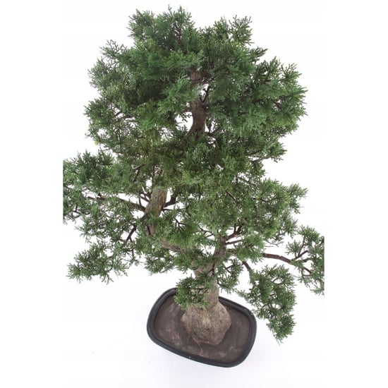 Kopu ® kunstplant bonsai ceder ca. 100x60 cm in zwarte plastic pot - Image 5