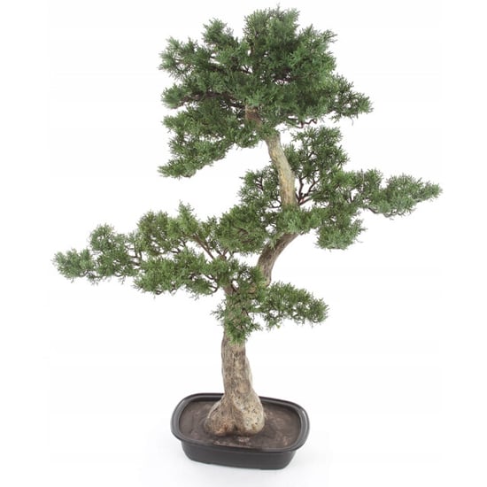 Kopu ® kunstplant bonsai ceder ca. 100x60 cm in zwarte plastic pot - Image 6