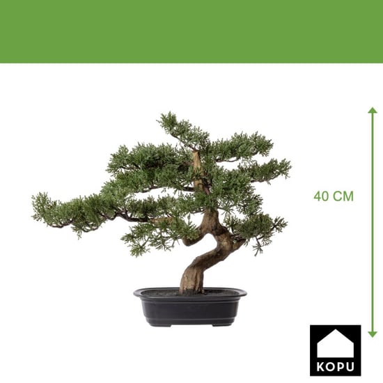 Kopu ® bonsai boompje ceder ca. 40x40 cm in een zwarte plastic pot - Image 4