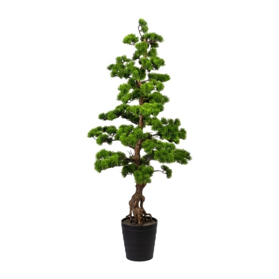 Kopu ® bonsai dennen boom ca. 140 cm in een zwarte plastic pot - Image 1