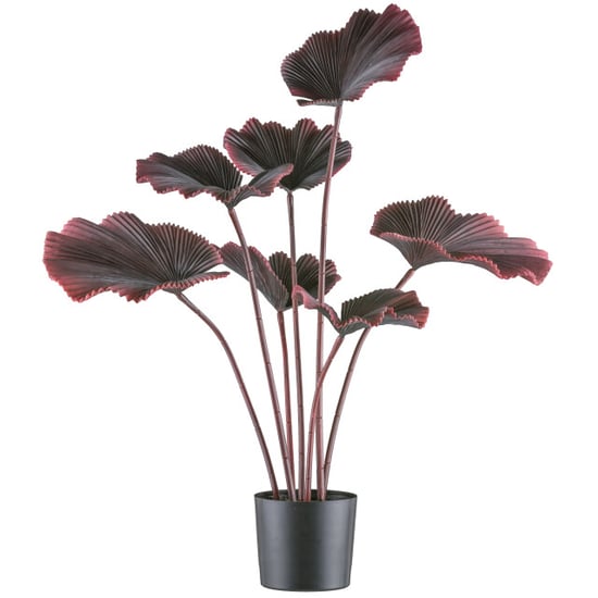 Kopu ® palmboom 100 cm donkerrood in een zwarte plastic pot kamerplant - Image 1