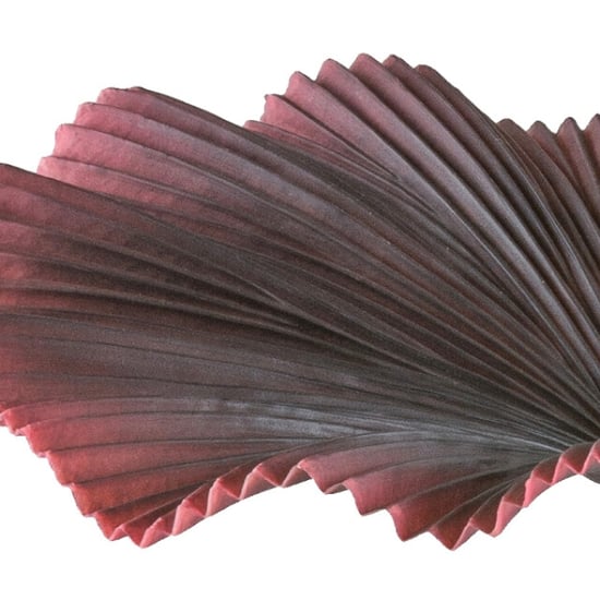 Kopu ® palmboom 100 cm donkerrood in een zwarte plastic pot kamerplant - Image 3