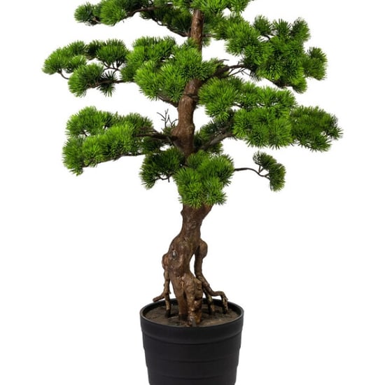 Kopu ® bonsai dennen boom ca. 140 cm in een zwarte plastic pot - Image 4