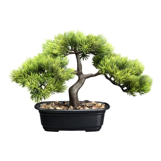 Kopu ® bonsai dennen boompje ca. 23x30 cm met zwarte sierpot - Image 1
