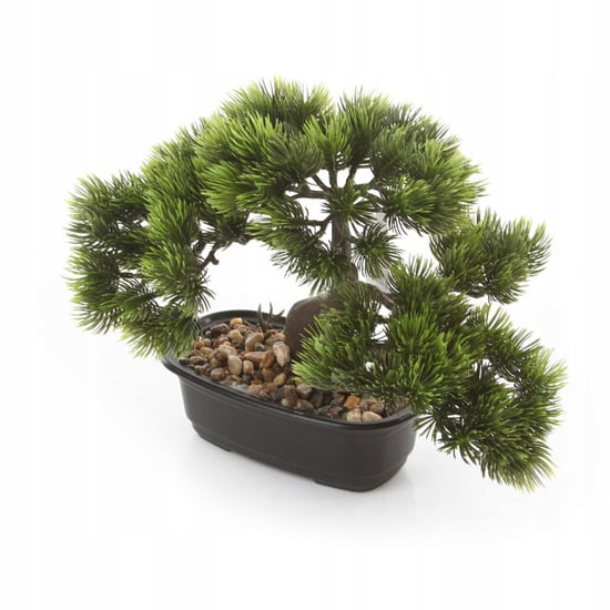 Kopu ® bonsai dennen boompje ca. 23x30 cm met zwarte sierpot - Image 2