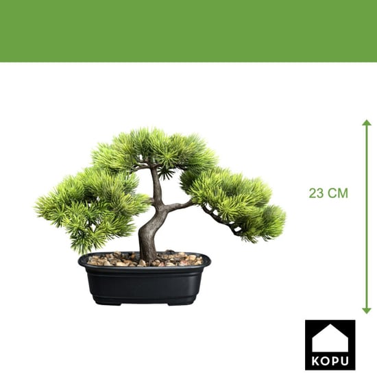 Kopu ® bonsai dennen boompje ca. 23x30 cm met zwarte sierpot - Image 3