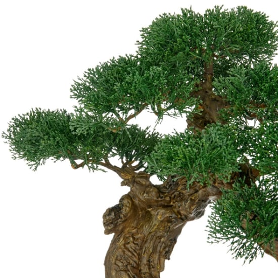 Kopu ® kunstplant bonsai ceder 80x60cm met zwarte pot bonsai boom - Image 3