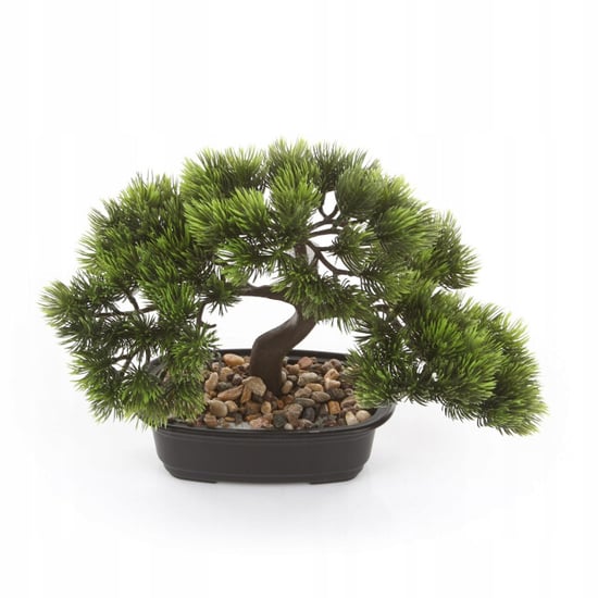 Kopu ® bonsai dennen boompje ca. 23x30 cm met zwarte sierpot - Image 4