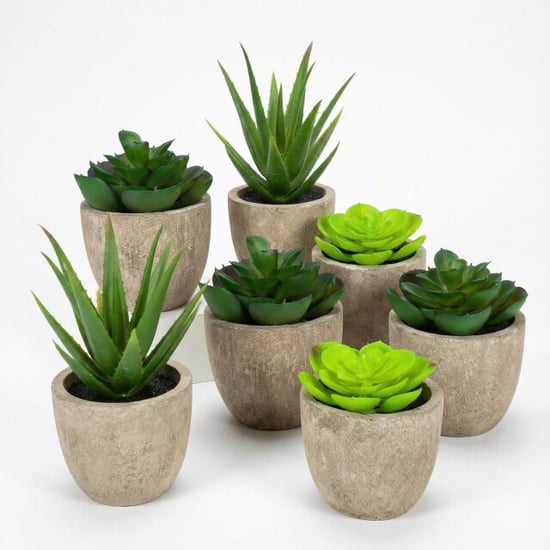 GreenDream ® 6 stuks kunstplanten nep planten vetplanten cadeautip - Image 1