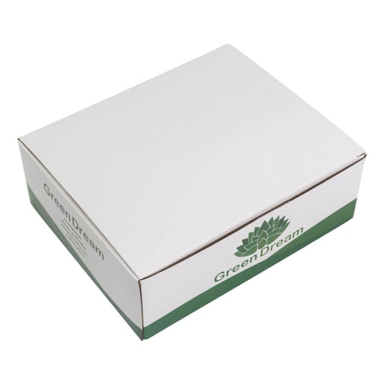 GreenDream ® 6 stuks kunstplanten nep planten vetplanten cadeautip - Image 2