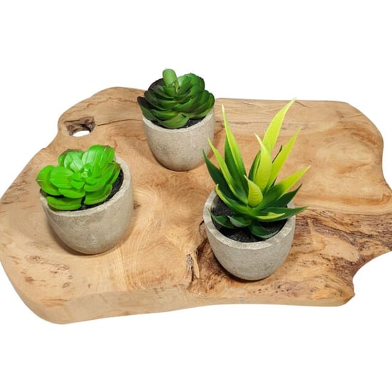 GreenDream ® 6 stuks kunstplanten nep planten vetplanten cadeautip - Image 3