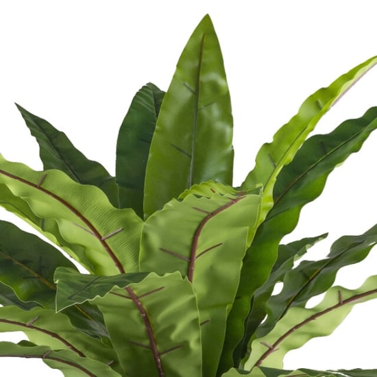 Kopu ® kunstplant asplenium 24 blad 105 cm met metaal standaard - Image 3