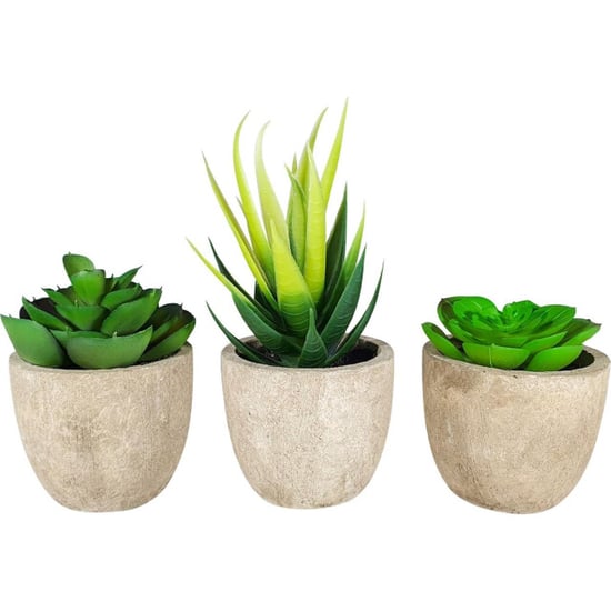 GreenDream ® 6 stuks kunstplanten nep planten vetplanten cadeautip - Image 4