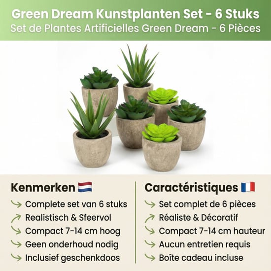 GreenDream ® 6 stuks kunstplanten nep planten vetplanten cadeautip - Image 5