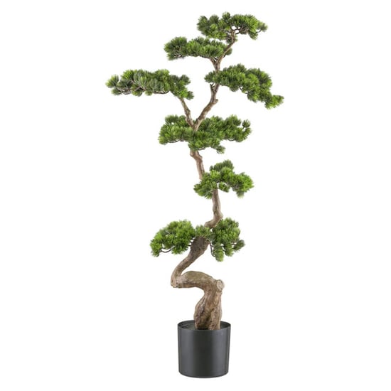 Kopu ® bonsai dennenboom ca. 125x50 cm in een zwarte plastic pot - Image 1