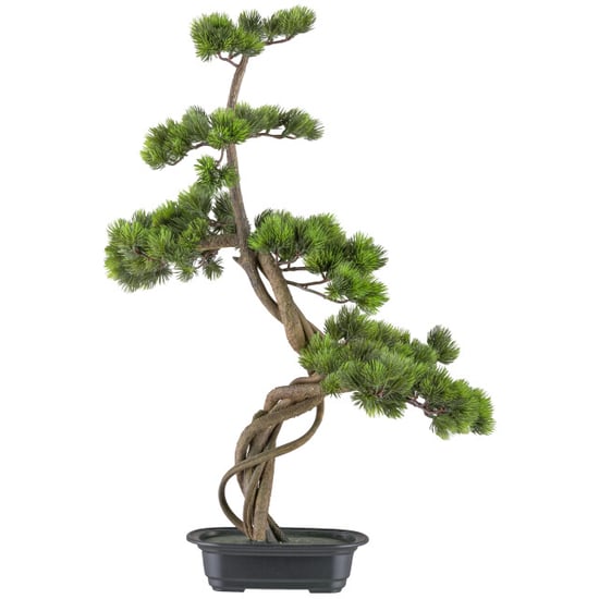Kopu ® bonsai dennenboom ca. 70x45 cm in een zwarte plastic pot - Image 1