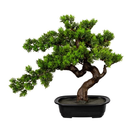 Kopu ® bonsai mirte ca. 40x40 cm- in een zwarte plastic pot - Image 1