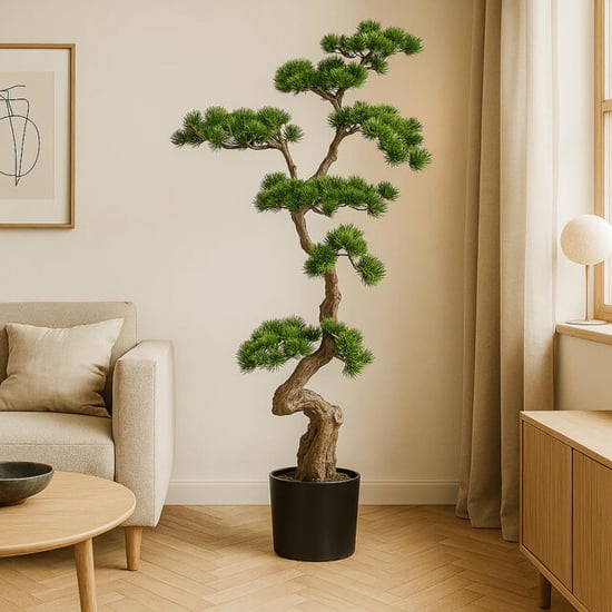 Kopu ® bonsai dennenboom ca. 125x50 cm in een zwarte plastic pot - Image 2