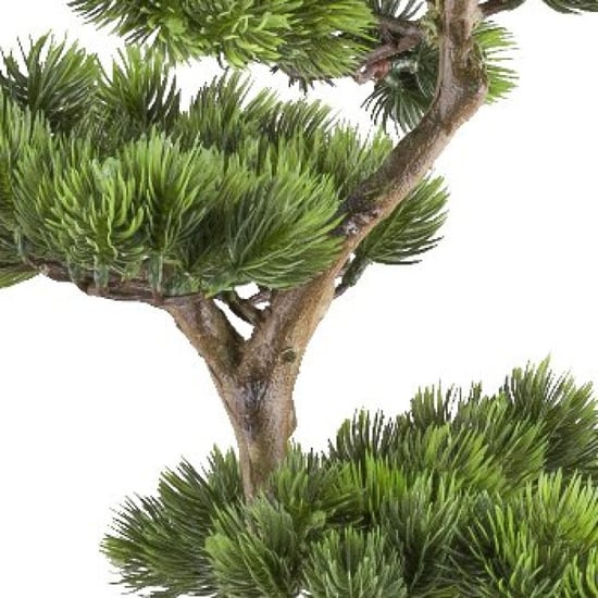 Kopu ® bonsai dennenboom ca. 70x45 cm in een zwarte plastic pot - Image 2