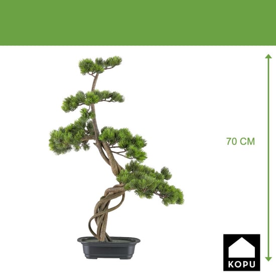 Kopu ® bonsai dennenboom ca. 70x45 cm in een zwarte plastic pot - Image 3