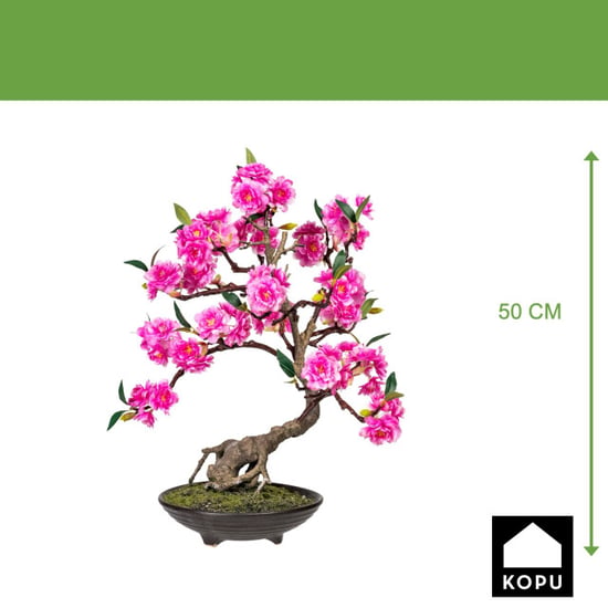 Kopu ® bonsai cerasum - ca. 50 cm in een bruine cementen pot - Image 2