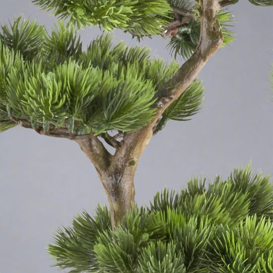 Kopu ® bonsai dennen boompje ca. 90x40 cm in een zwarte plastic pot - Image 3