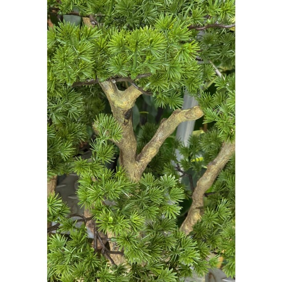 Kopu ® kunstplant bonsai lariks 53 cm met zwarte pot bonsai boompje - Image 3