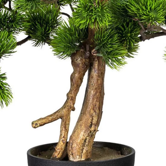 Kopu ® bonsai dennen boompje ca. 60x40 cm met zwarte sierpot - Image 2