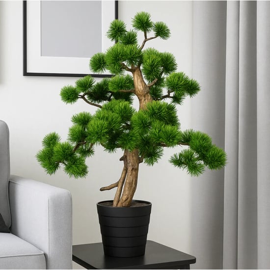 Kopu ® bonsai dennen boompje ca. 60x40 cm met zwarte sierpot - Image 3