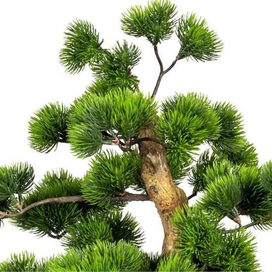 Kopu ® bonsai dennen boompje ca. 60x40 cm met zwarte sierpot - Image 4