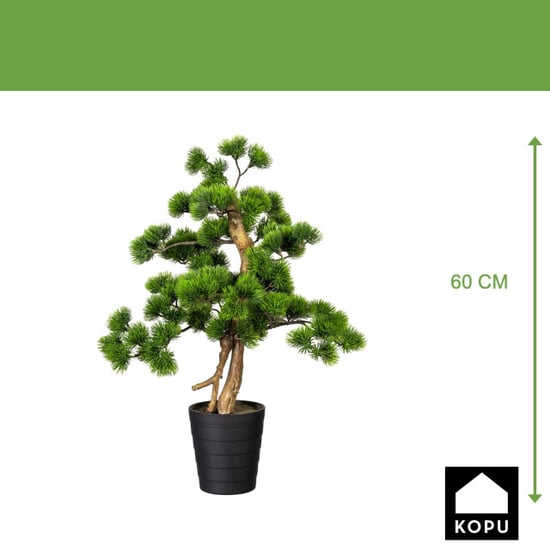 Kopu ® bonsai dennen boompje ca. 60x40 cm met zwarte sierpot - Image 5