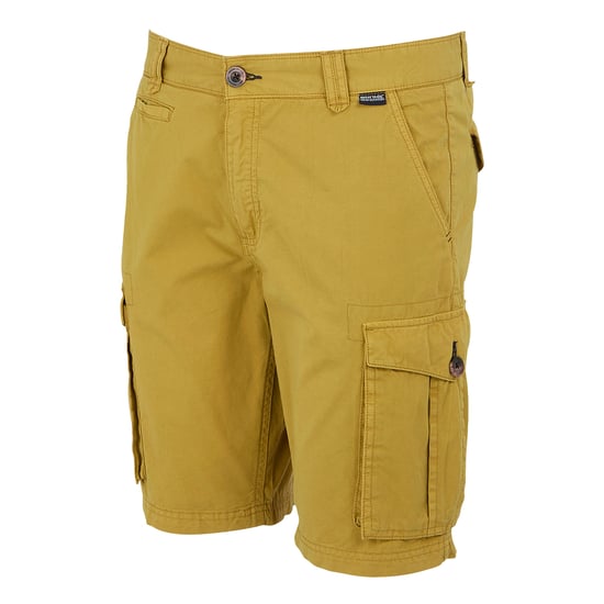 Regatta Heren shorebay ii cargo shorts - Image 3